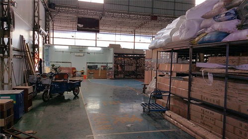 立美建材 專業(yè)運動館木地板生產(chǎn)商，品質(zhì)保障與高清展示