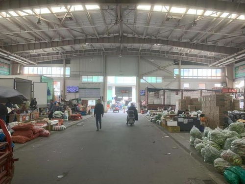 市城管局赴蘇州調(diào)研農(nóng)副產(chǎn)品批發(fā)市場(chǎng)運(yùn)維及貨物運(yùn)輸代理經(jīng)驗(yàn)