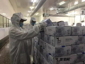 青島機(jī)場(chǎng)個(gè)人物品與食品茶葉進(jìn)口報(bào)關(guān)報(bào)檢全攻略